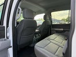 2024 F-150 Thumbnail 16