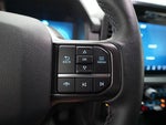 2024 F-150 Thumbnail 18