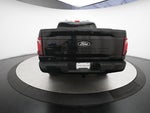 2024 F-150 Thumbnail 25