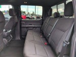 2024 F-150 Thumbnail 15