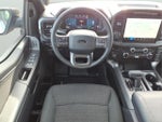 2024 F-150 Thumbnail 12