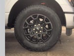 2024 F-150 Thumbnail 8