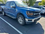 2024 F-150 Thumbnail 2