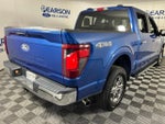2024 F-150 Thumbnail 6