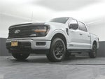 2024 F-150 Thumbnail 39