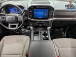 2025 F-150 Thumbnail 9