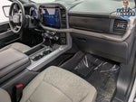 2025 F-150 Thumbnail 15