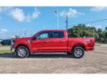 2025 F-150 Thumbnail 2