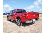 2025 F-150 Thumbnail 3