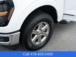 2025 F-150 Thumbnail 12