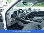 2025 F-150 Thumbnail 19