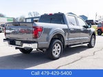 2025 F-150 Thumbnail 6