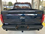 2025 F-150 Thumbnail 15