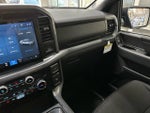 2025 F-150 Thumbnail 37