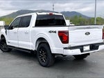 2025 F-150 Thumbnail 12