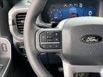 2025 F-150 Thumbnail 18