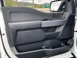 2025 F-150 Thumbnail 22