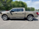 2025 F-150 Thumbnail 5