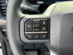 2025 F-150 Thumbnail 10