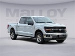 2024 F-150 Thumbnail 1