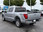 2024 F-150 Thumbnail 4