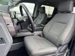 2024 F-150 Thumbnail 5