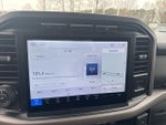 2024 F-150 Thumbnail 10