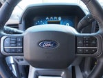 2024 F-150 Thumbnail 21