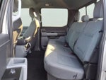 2024 F-150 Thumbnail 8
