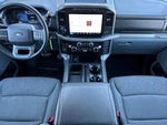 2024 F-150 Thumbnail 5