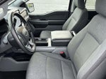 2024 F-150 Thumbnail 15