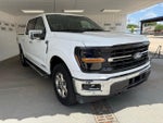 2024 F-150 Thumbnail 1