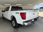 2024 F-150 Thumbnail 2