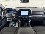 2024 F-150 Thumbnail 3