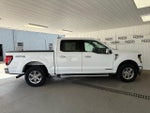 2024 F-150 Thumbnail 22