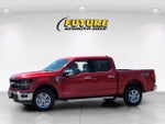 2024 F-150 Thumbnail 8