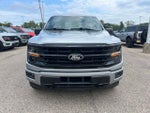 2024 F-150 Thumbnail 2