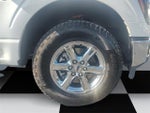 2024 F-150 Thumbnail 14