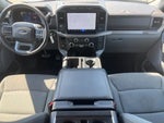 2024 F-150 Thumbnail 15