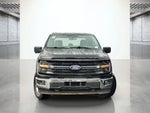 2024 F-150 Thumbnail 2