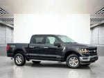 2024 F-150 Thumbnail 4