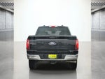 2024 F-150 Thumbnail 6