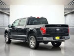 2024 F-150 Thumbnail 7