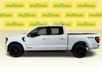 2024 F-150 Thumbnail 12