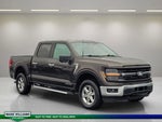 2024 F-150 Thumbnail 2