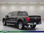 2024 F-150 Thumbnail 6