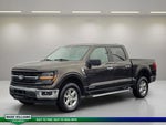 2024 F-150 Thumbnail 8