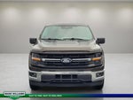 2024 F-150 Thumbnail 9