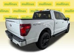 2024 F-150 Thumbnail 4