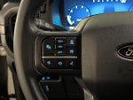 2024 F-150 Thumbnail 24